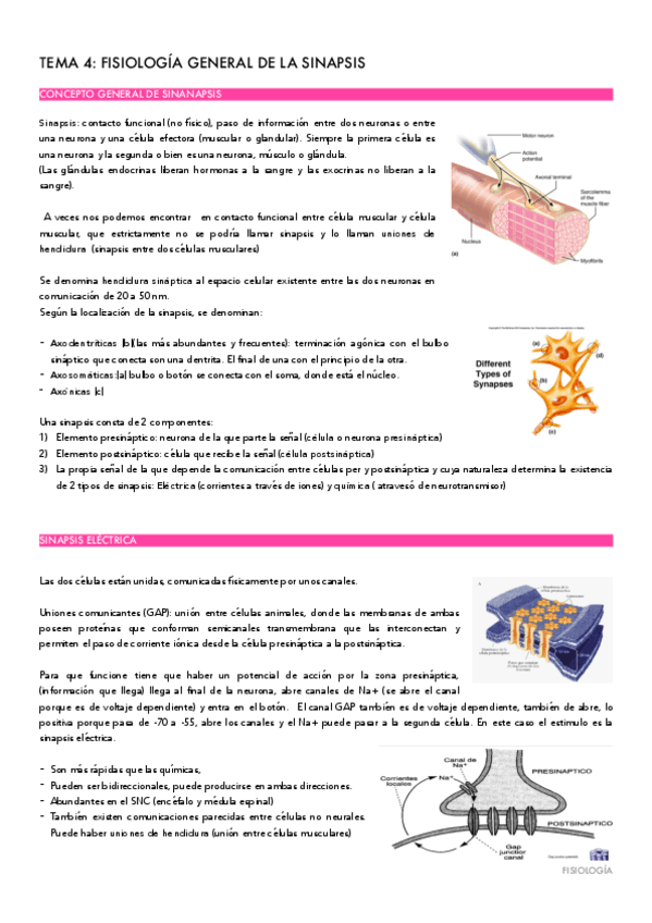TEMA-3-FISIO.pdf