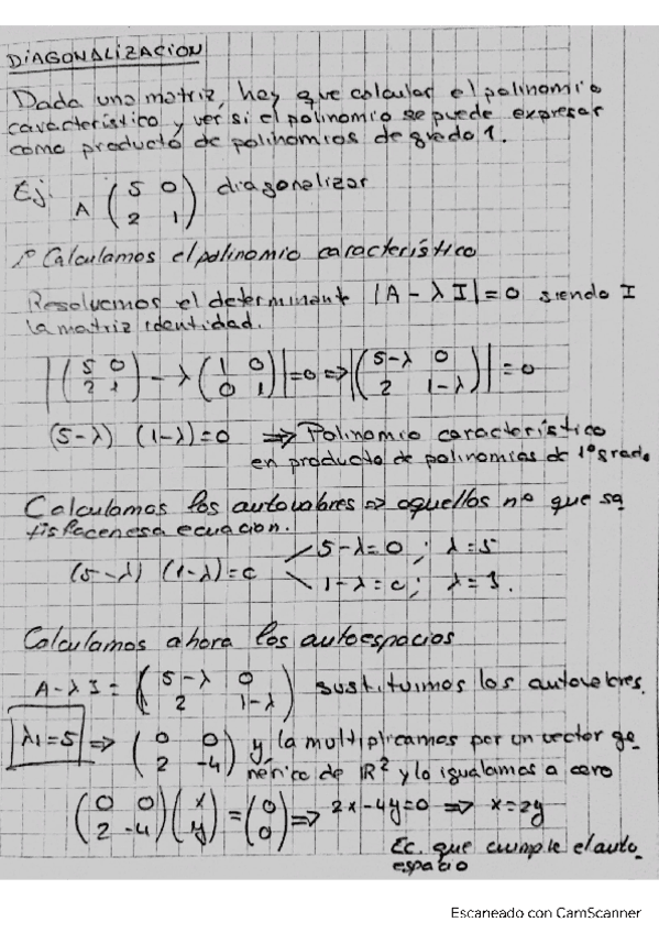 Apuntes-diagonalizacion.pdf