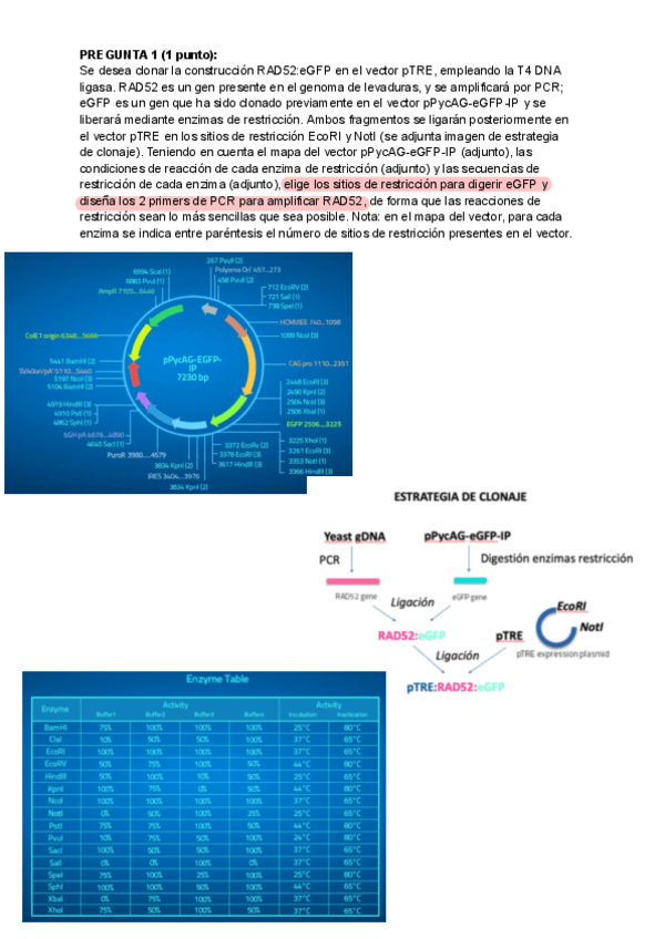 Ejer-1.pdf