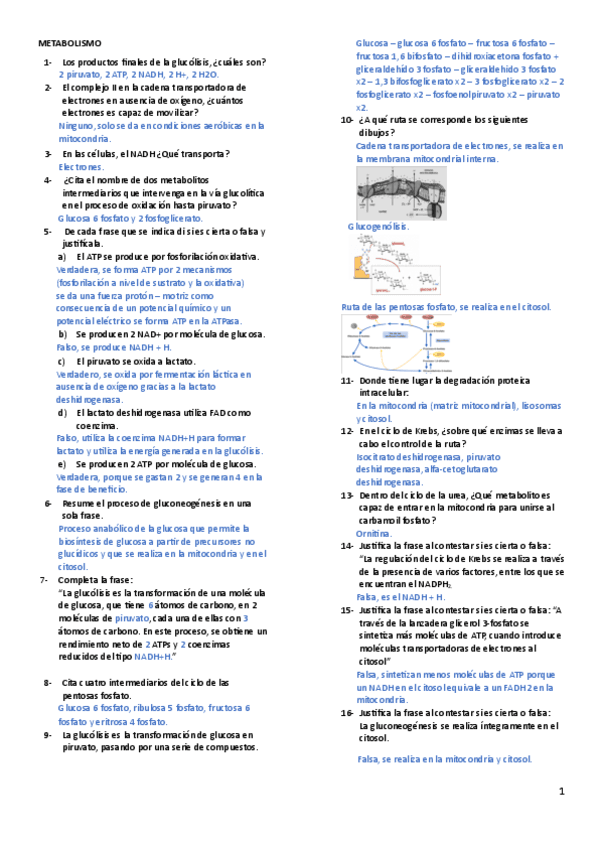 Preguntas-2o-examen.pdf