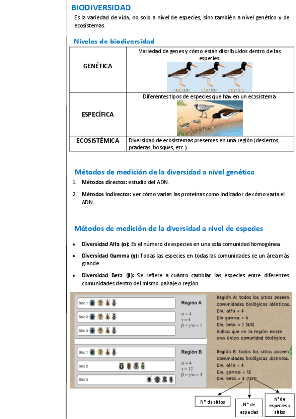 UNIDAD-6-Biodiversidad.pdf