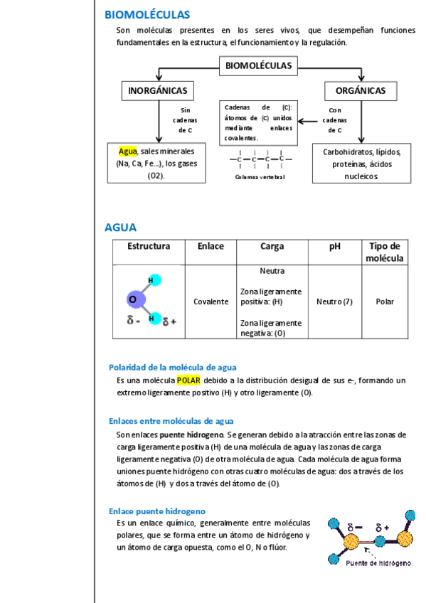 UNIDAD-2-Biomoleculas.pdf