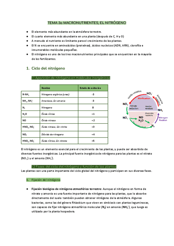 TEMA-3-MACRONUTRIENTES-N.pdf