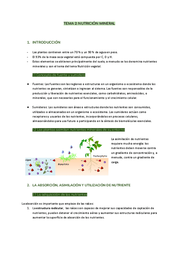 TEMA-2-NUTRICION-MINERAL.pdf