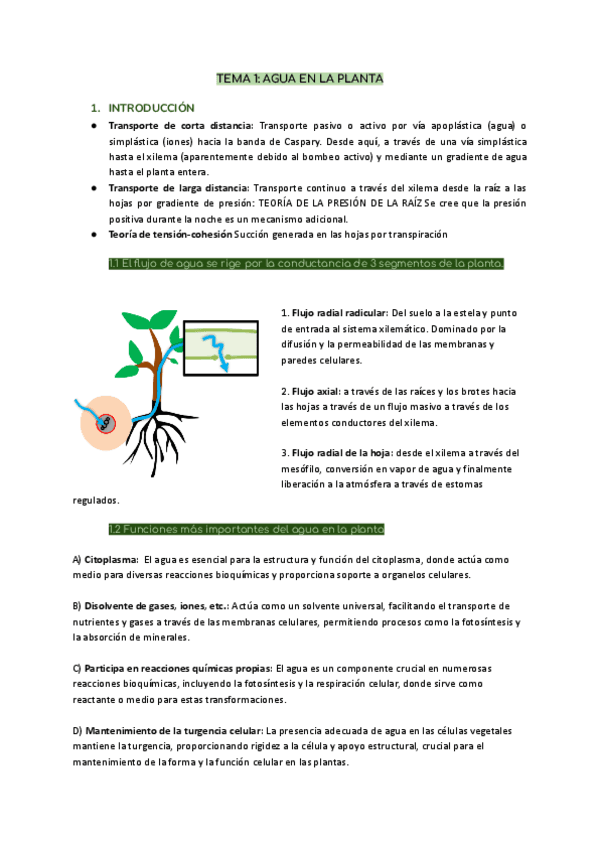 TEMA-1-TRANSPIRACION-Y-TRANSPORTE-DE-AGUA-Y-ELEMENTOS-MINERALES.pdf