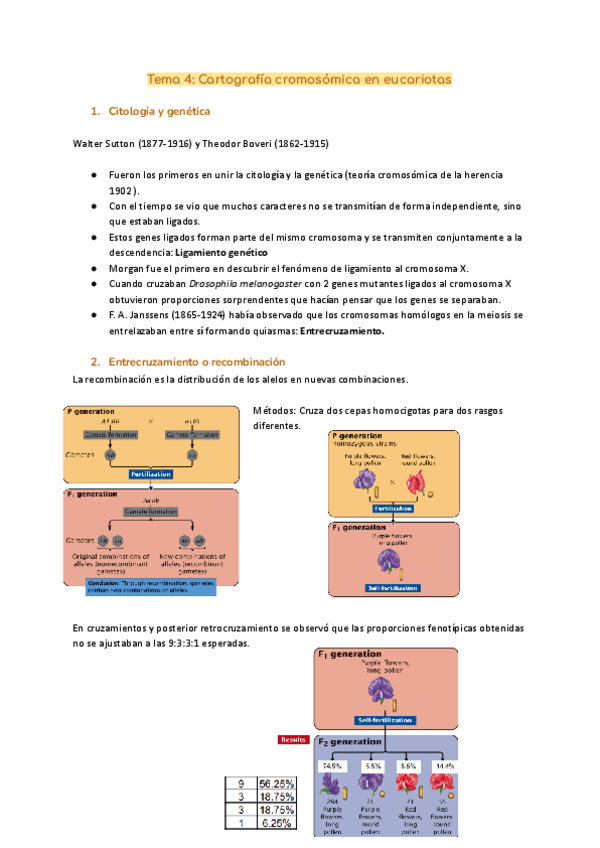 Tema-4-Cartografia-cromosomica-en-eucariotas.pdf