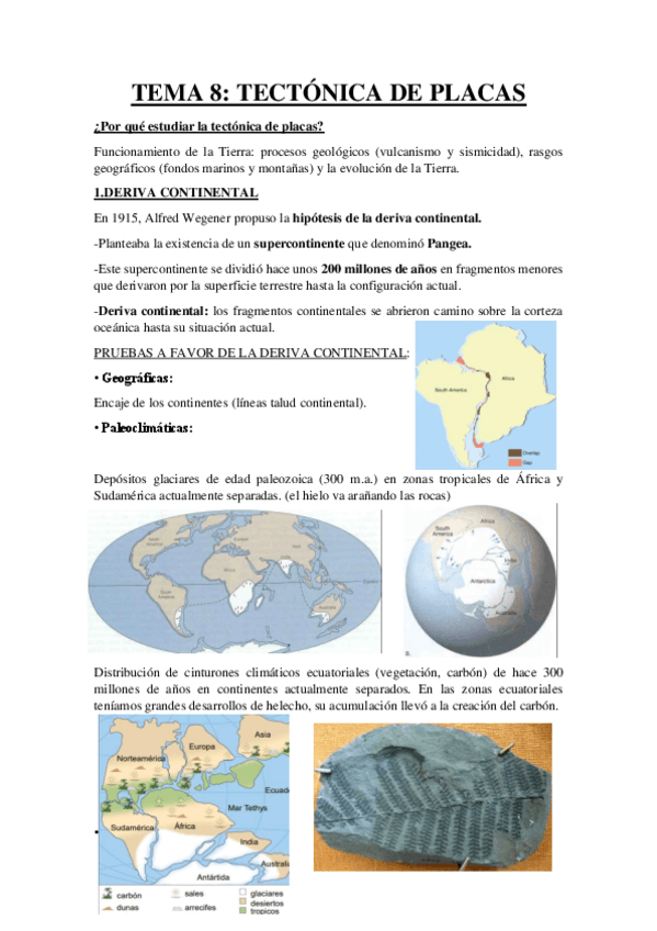 TEMA-8-Resumen-Tectonica-de-Placas.pdf