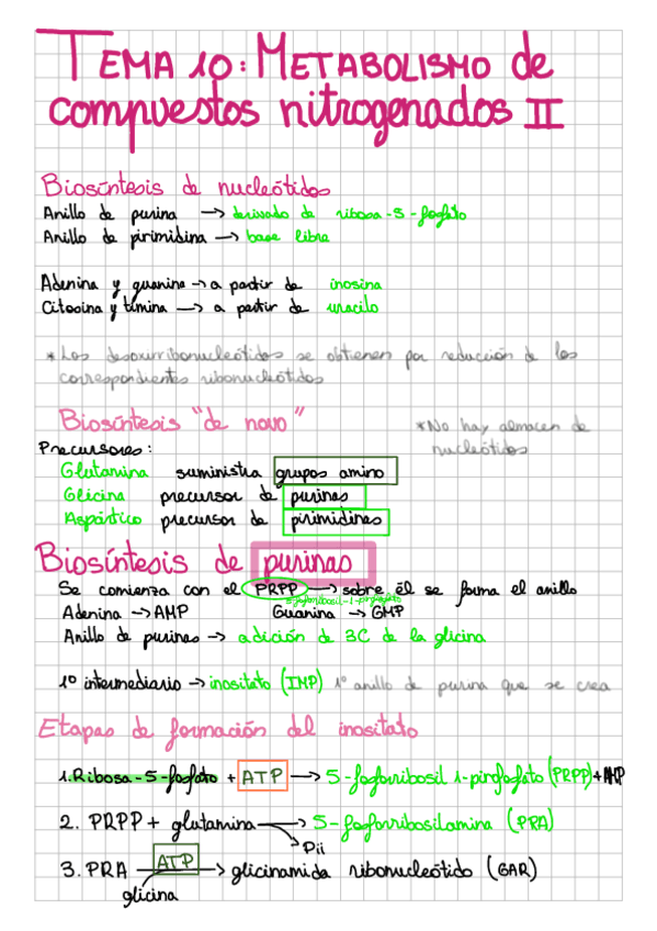 t10: metabolismo de compuestos nitrogenados II.pdf