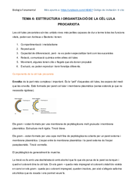 Estructura i organització procariota.pdf