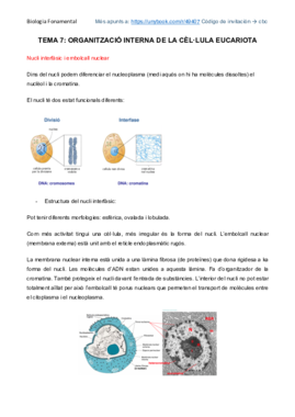 Organització interna de la cèl·lula eucariota.pdf