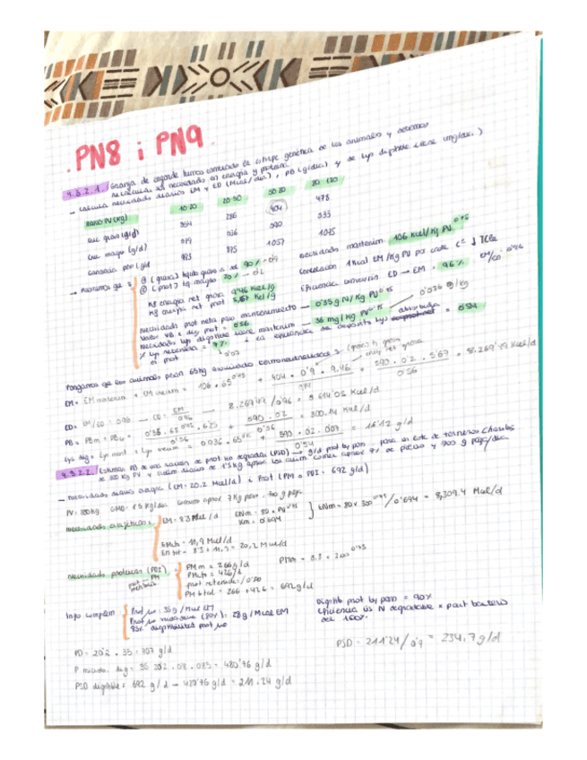 PROBLEMES-NUTRI-CAROL-PN8-9.pdf