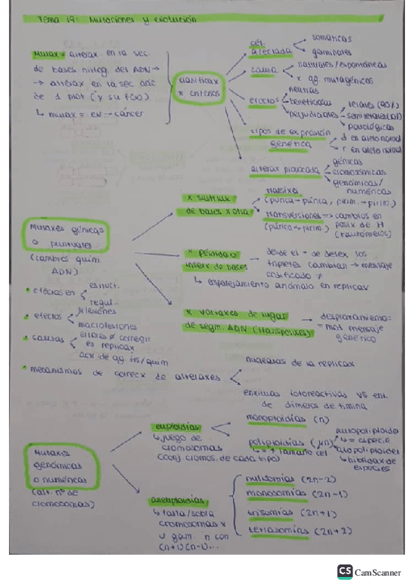 TEMA-19.-Mutaciones-y-evolucion..pdf