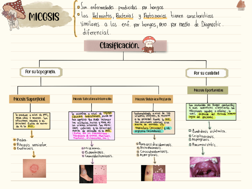Mapa-conceptual-de-Micosis-hongos.pdf