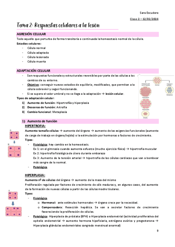 TEMA-2.pdf