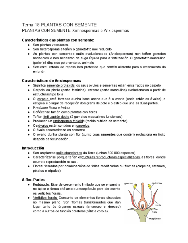 T.17.1.2.-PLANTAS-CON-SEMENTE.pdf