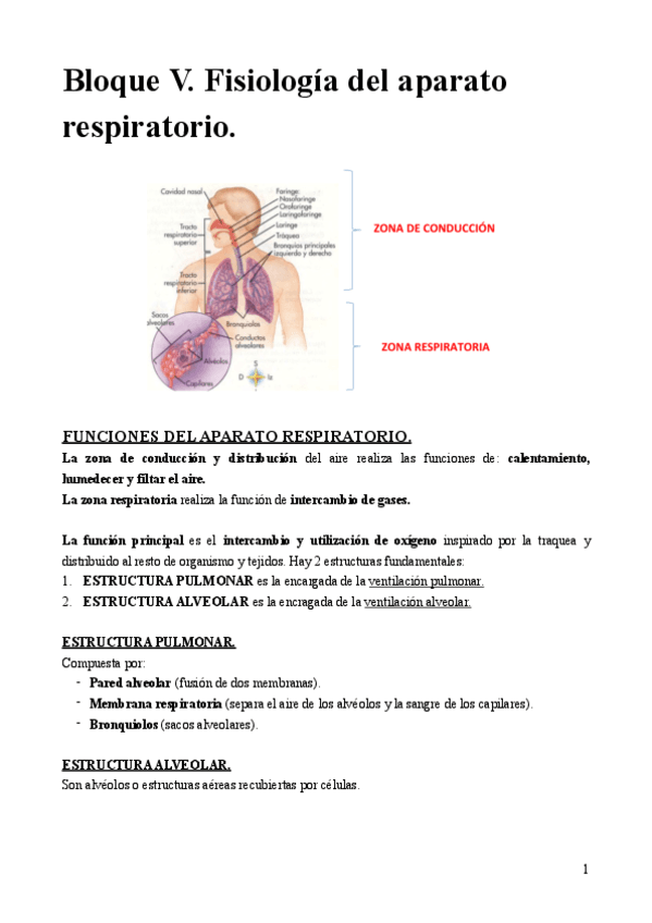 Bloque-V.-Fisiologia-del-aparato-respiratorio..pdf