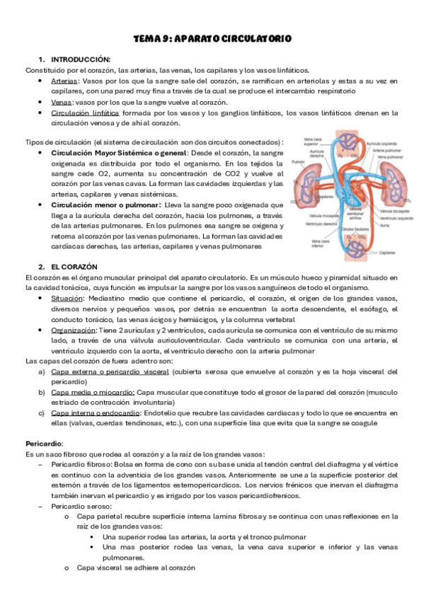 tema-9-anatomia-humana.pdf