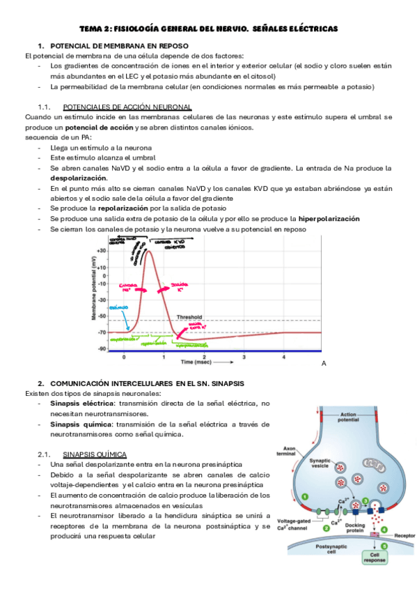 tema-2-fisiologia-odontologica.pdf