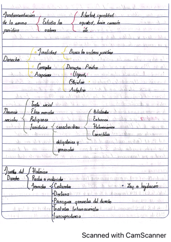 DerechoBasesdelDerechoSalrive-Jess.pdf