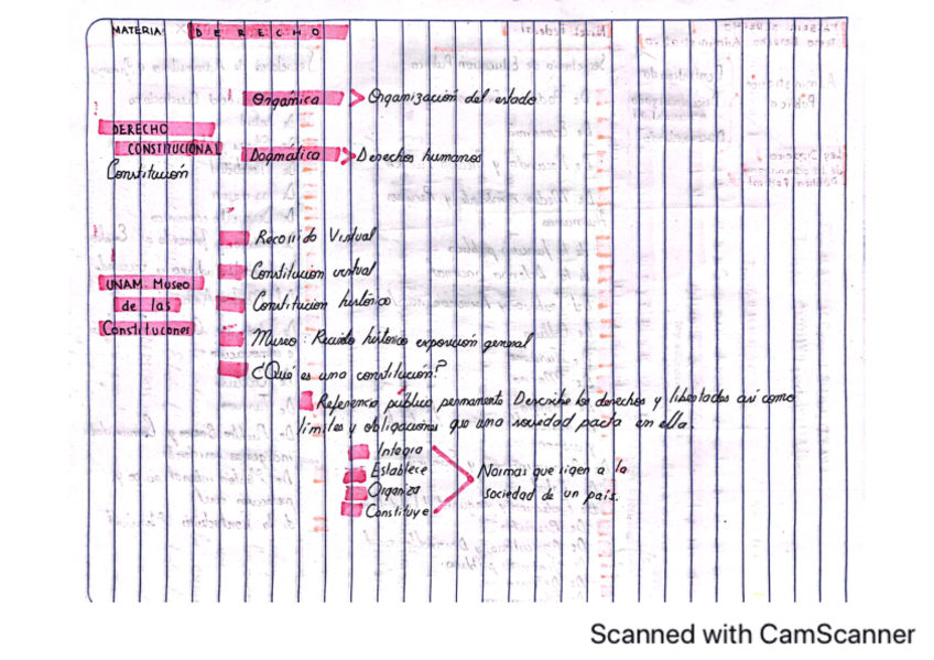 DerechoDerecho-Constitucional-y-de-admi.pdf