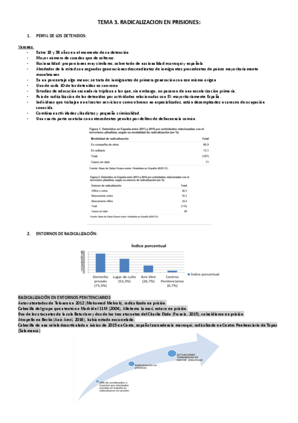 TEMA-3.-Radicalizacion-en-prisiones.pdf