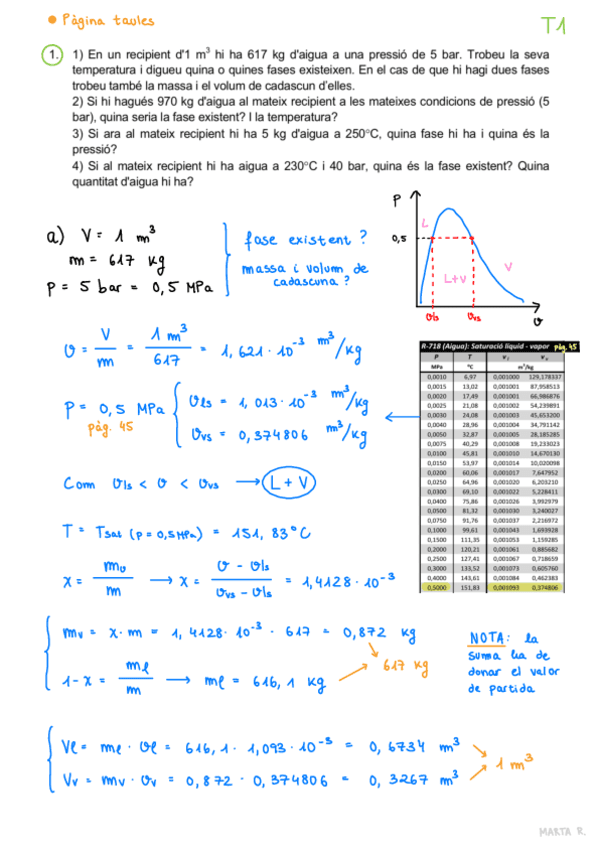 T1.-Problemes.pdf