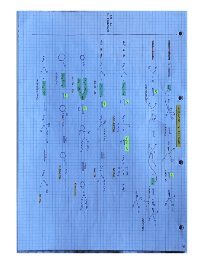 Esquemas-reacc-11-13.pdf