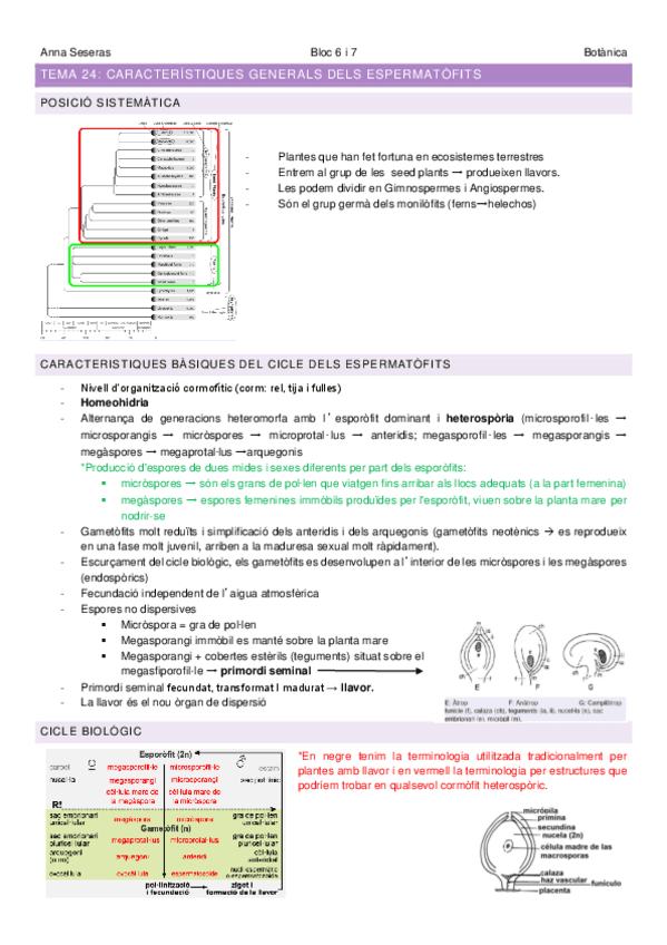 Bloc-VIESPERMATOFITS.pdf