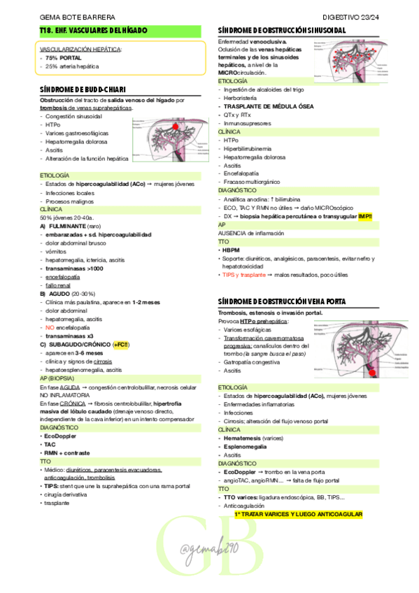 RESUMEN-T18-DIGEST.pdf