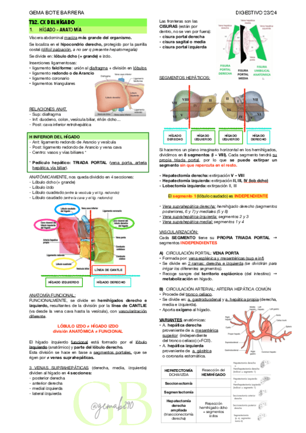 RESUMEN-T32-DIGEST.pdf