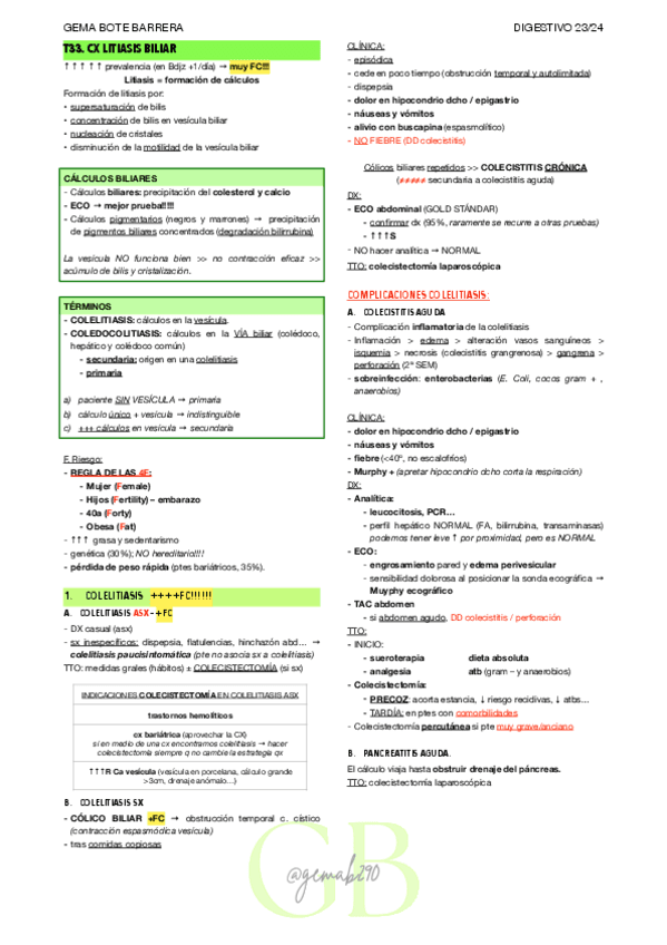 RESUMEN-T33-DIGEST.pdf