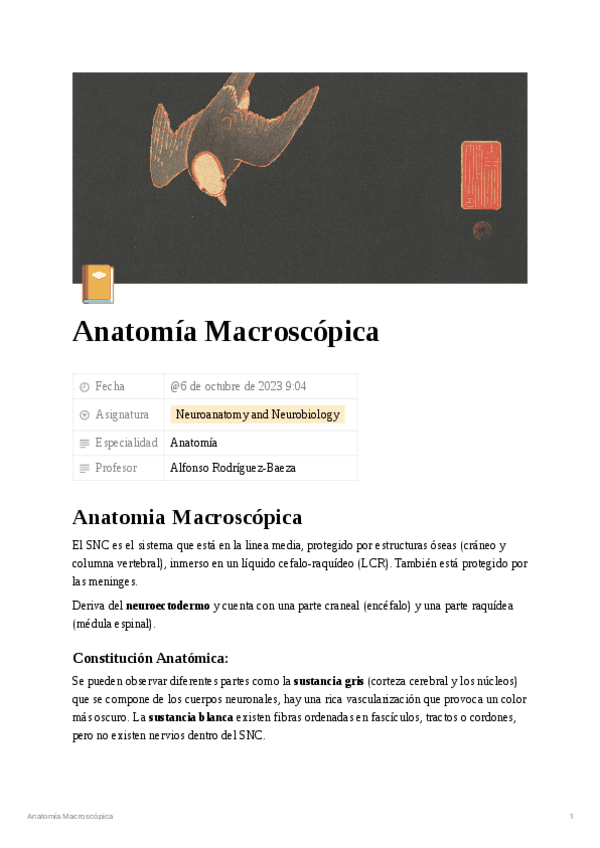 Anatomia-Macroscopica-27cb158c736548fcb1c2efe530c9d6e8.pdf