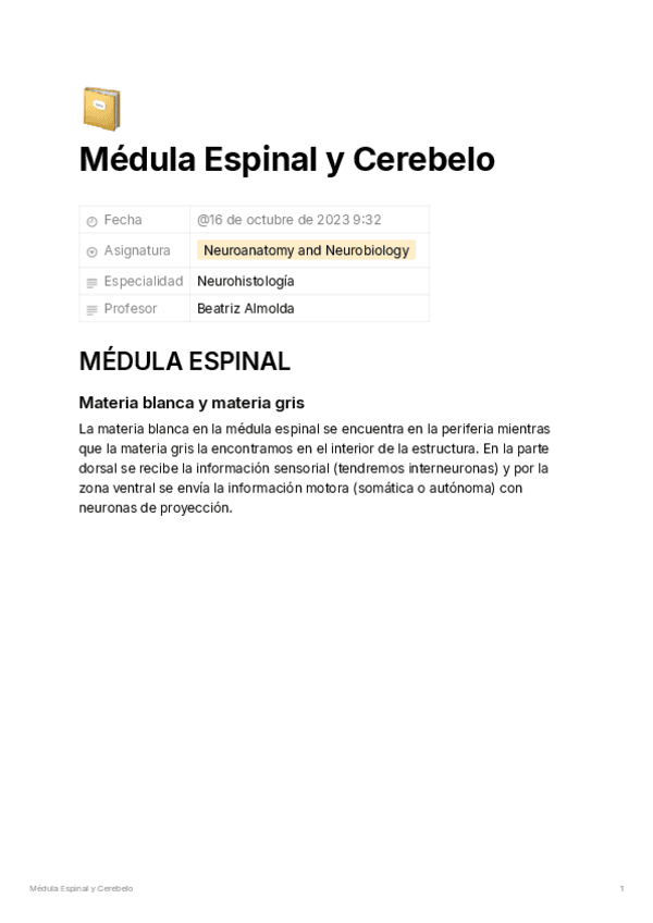 Medula-Espinal-y-Cerebelo-67ef6501d4884489aa12a953fe6e3b1c.pdf