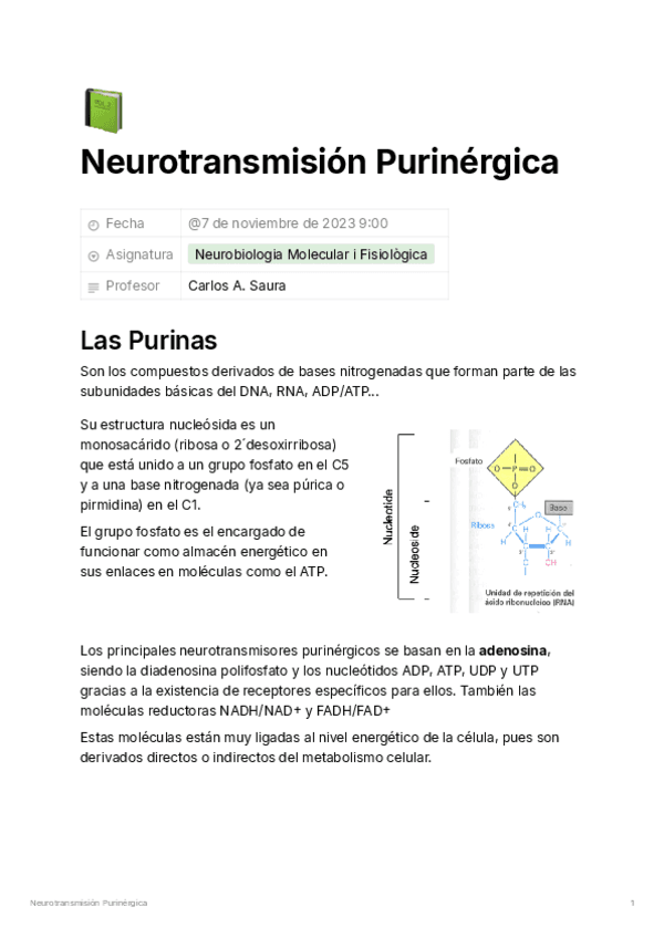 Neurotransmision-Purinergica-49d39c3d3f66457d9b6b3fbd0871b500.pdf