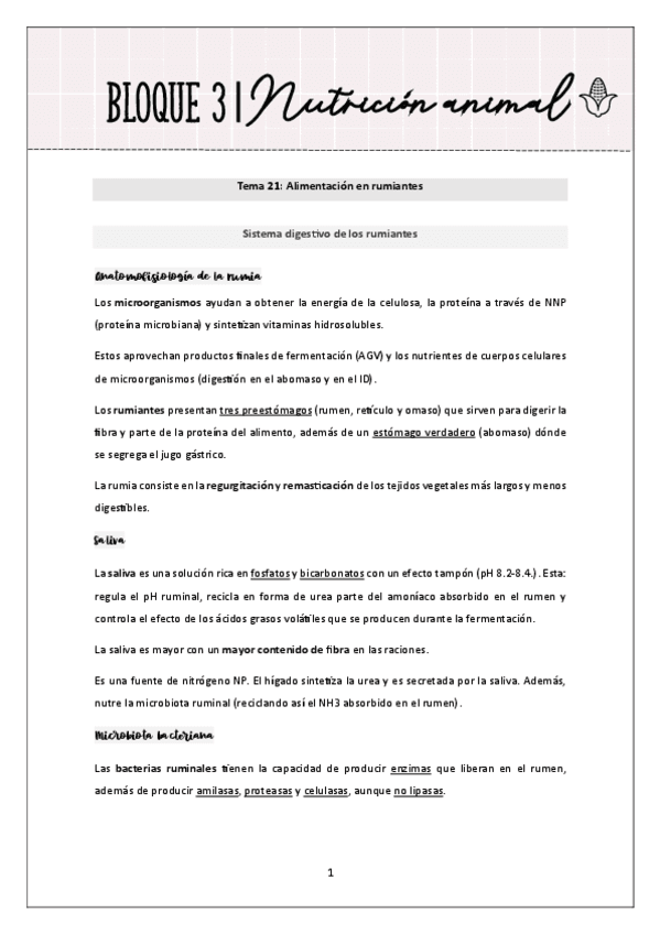 Apuntes-nutricion-tercer-parcial.pdf