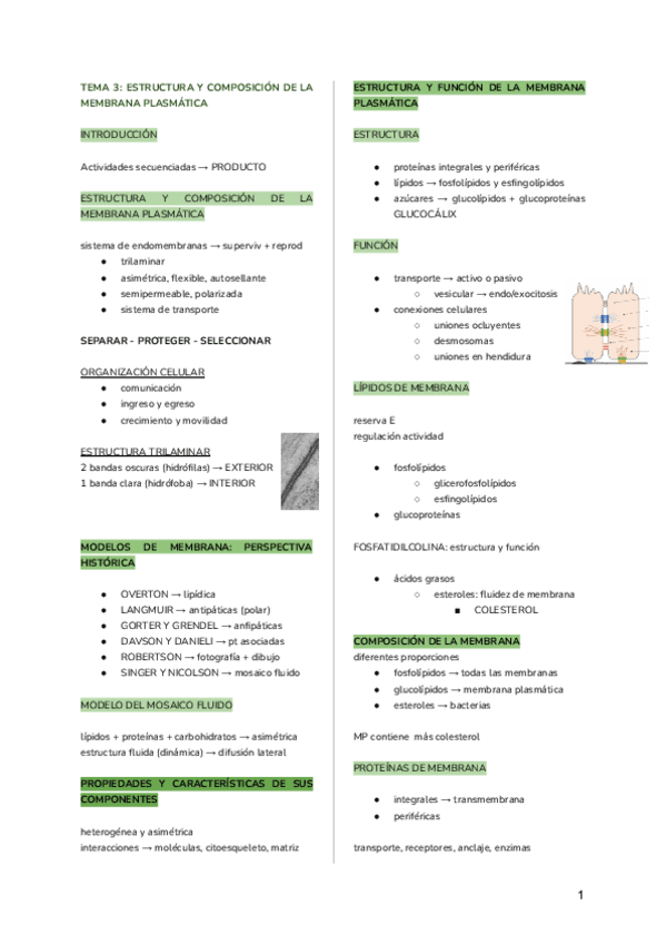 RESUMENES-1.pdf