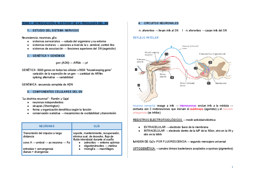 RESUMENES-FISIOMED-tema-1-8.pdf