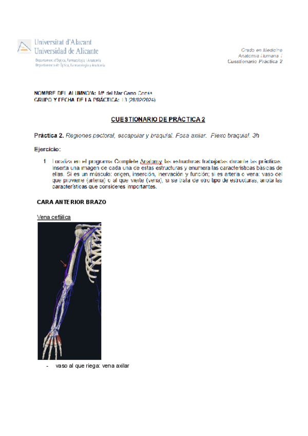 PRACTICA-2.pdf