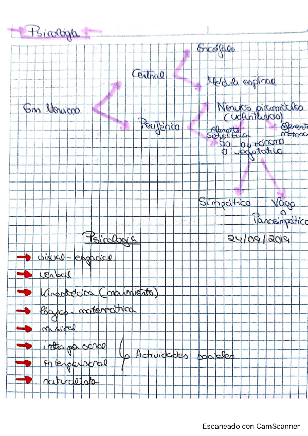 Tema-1-.-Apuntes-..pdf