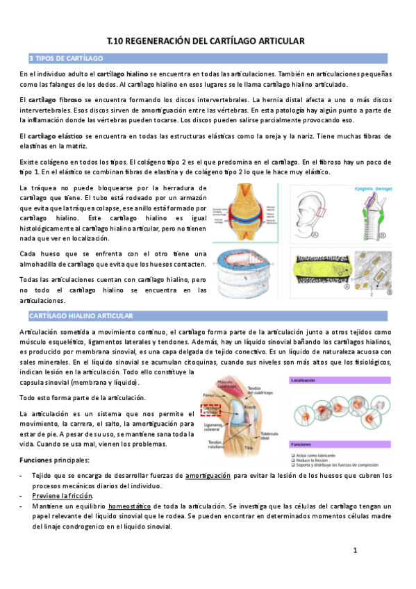 T.10-REGENERACION-DEL-CARTILAGO-ARTICULAR.pdf
