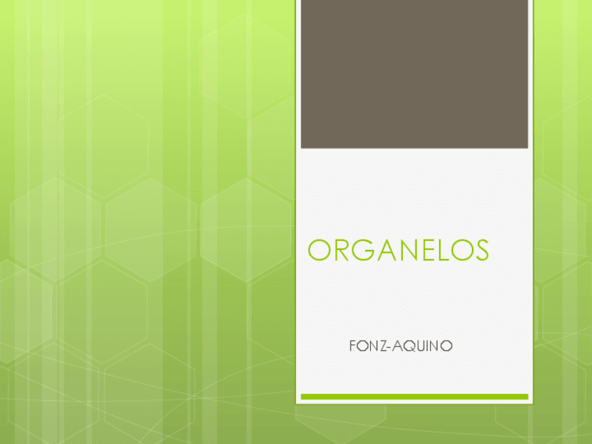 ORGANELOS..pdf22.pdf