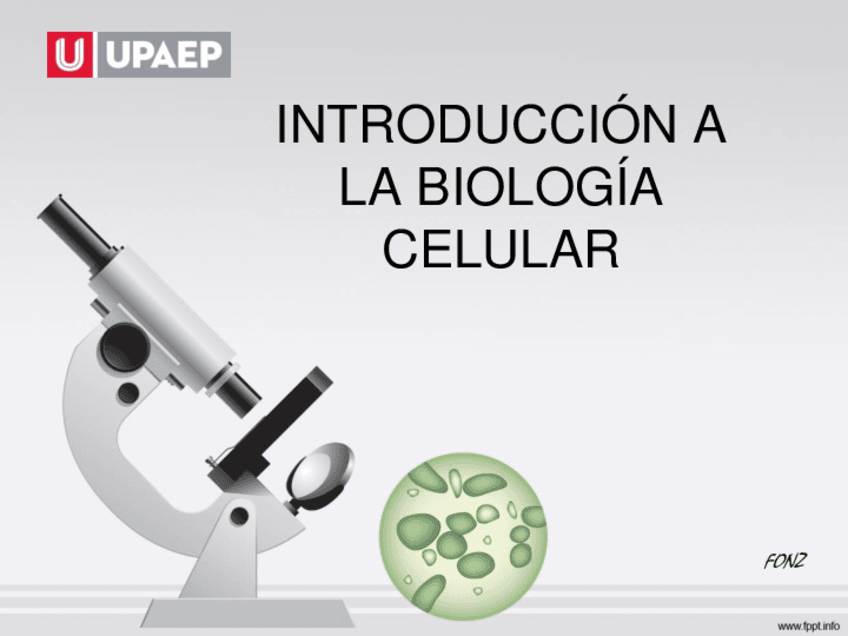 INTROBIOLOCELULAR2022.pdf