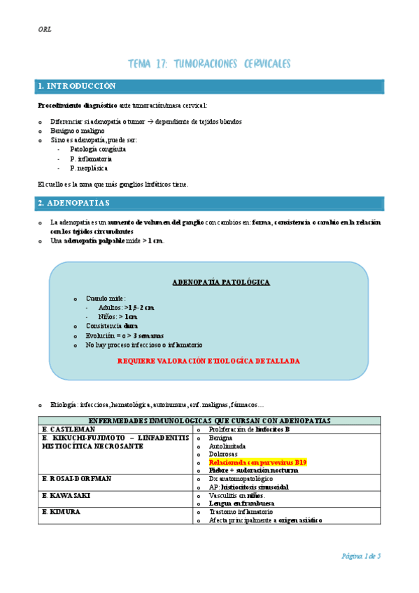 RESUMEN-T.17-ORL.pdf