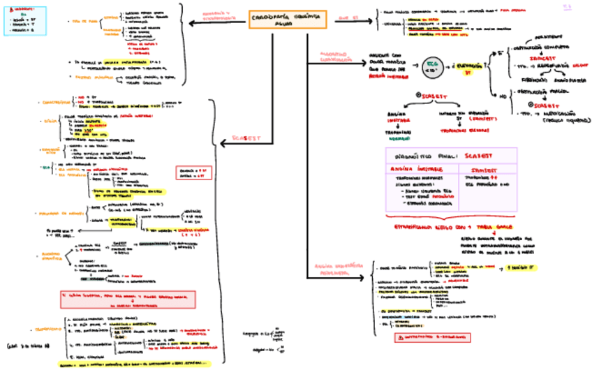 TEMA-7-SCASEST-ANGINA-INESTABLE-Y-IAMSEST.pdf