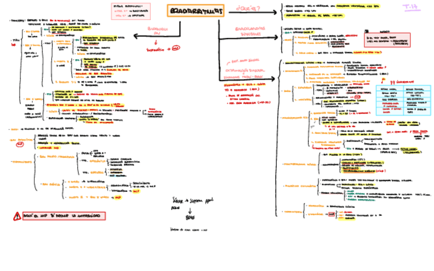 17-BRADIARRITMIAS.pdf