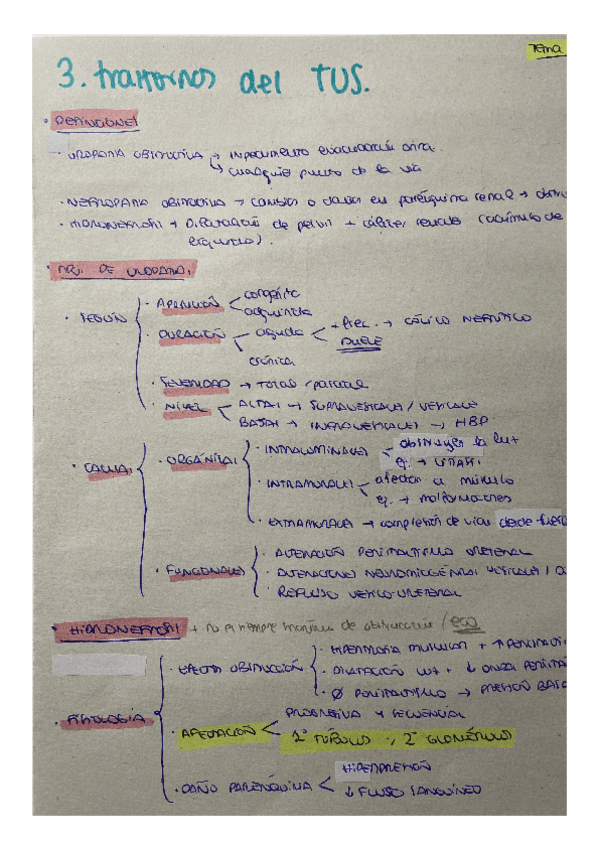 t3-trastornos-del-tracto-urinario-superior.pdf