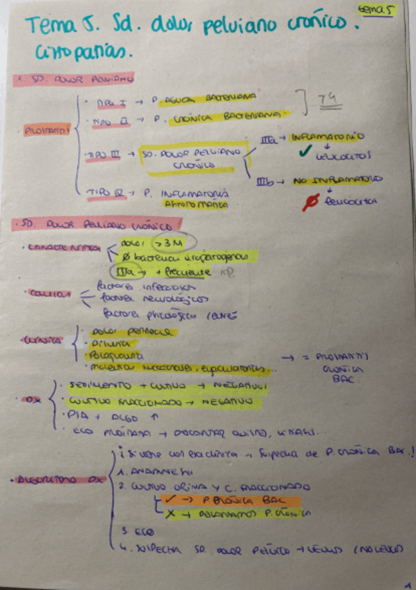 T5-UROLOGIA.pdf
