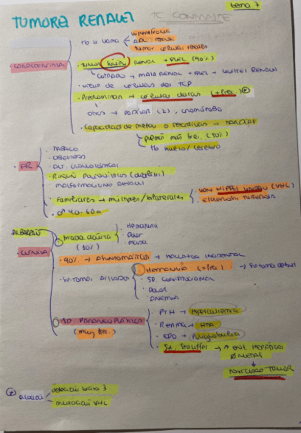 T7-URO-TUMORES-RENALES.pdf