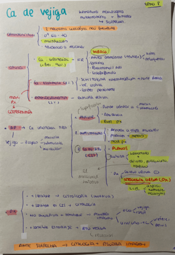 T8-URO-Cancer-de-vejiga.pdf