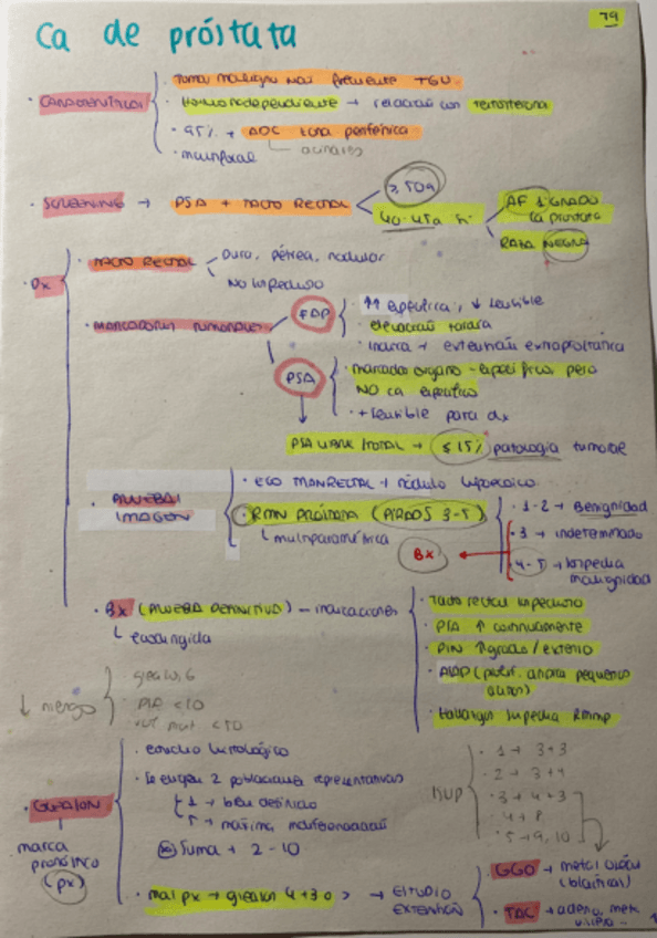 T9-URO-Cancer-de-prostata.pdf